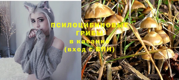 молекула духа Алексеевка