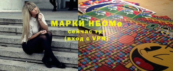 индика Абинск
