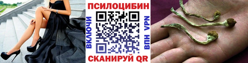сайты даркнета формула  Бирюсинск  Псилоцибиновые грибы Magic Shrooms  кракен ONION 