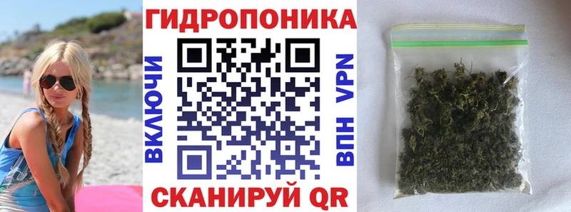 блэк спрут зеркало  Бирюсинск  Бошки Шишки Amnesia 
